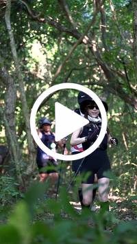 BIB:  <button type="button" onclick="openModal(28067169)" class="btn btn-primary btn-sm float-right" data-toggle="modal" data-target=".modal-high-quality">
                <i class="fa fa-download"></i> Download
                </button>